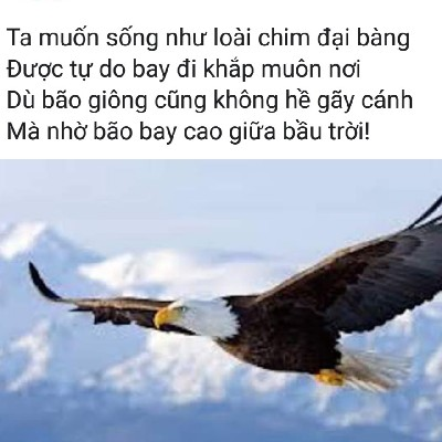 Ly Nguyễn