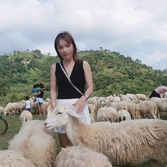 ChănCừu