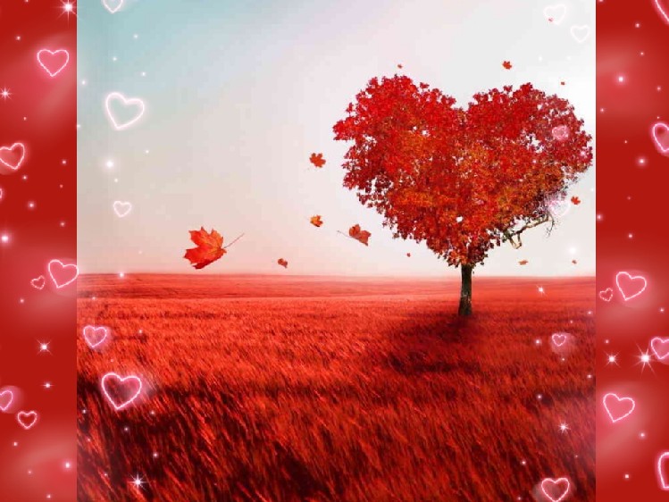 Địa Đàng ?☘️Quốc Bảo