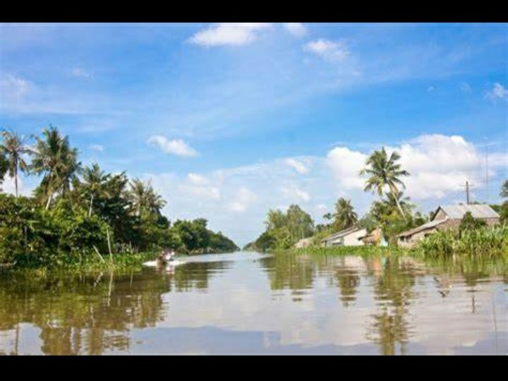 Cay Đắng Bờ Môi (Song Ca)