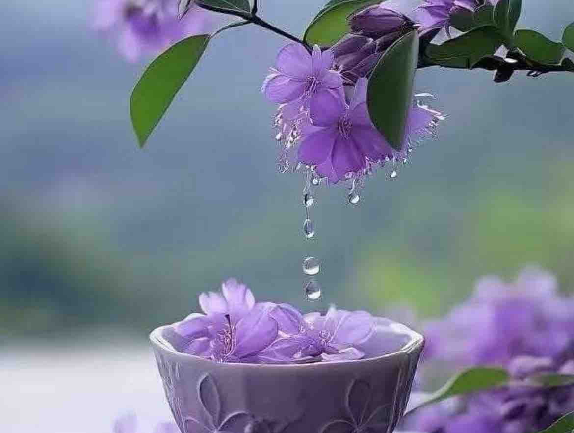 Ck buồn