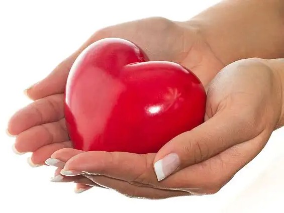 Bí Mật Trái Tim