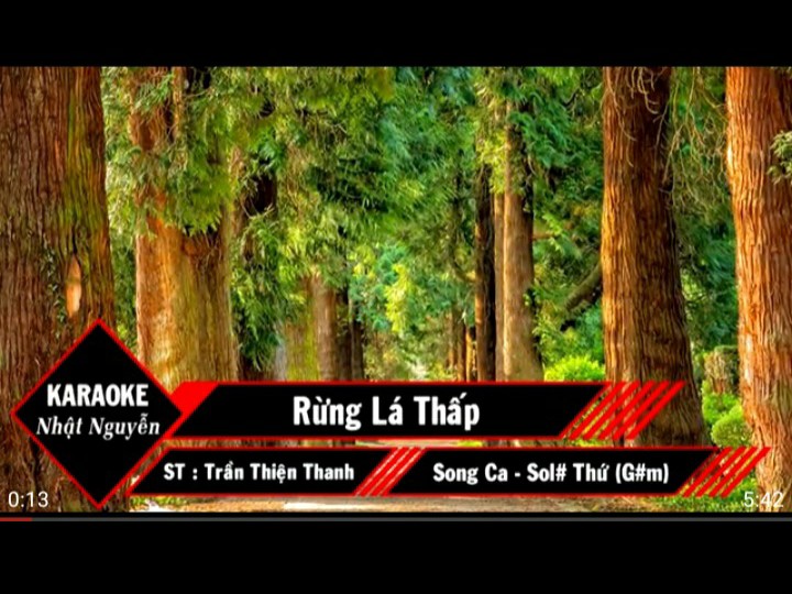 Rừng Lá Thấp (Song Ca)