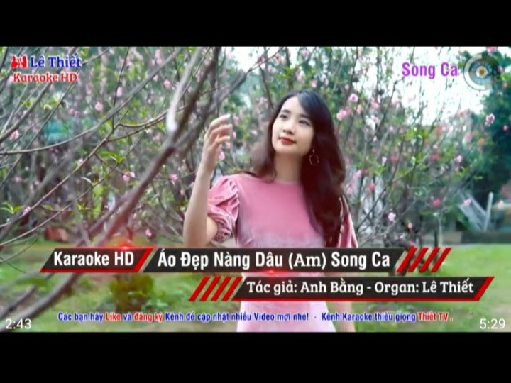 Áo Đẹp Nàng Dâu (Song Ca)