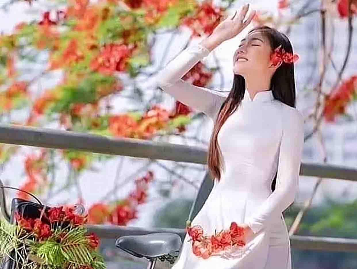 NỖI BUỒN HOA PHƯỢNG (SC) Huế Thương ft AnhLe