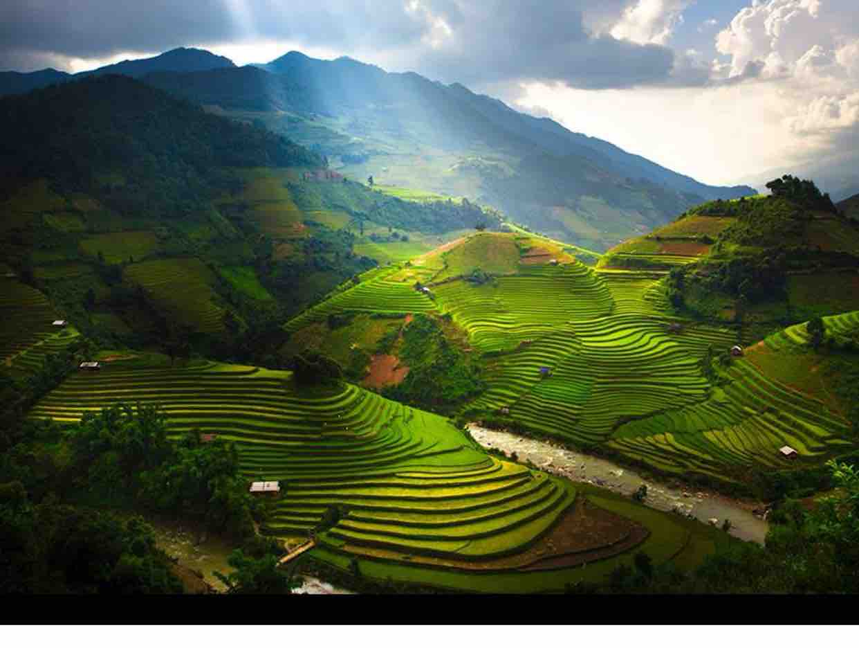 TÁM ĐIỆP KHÚC - Ngựa Hoang ft Bình Phương 