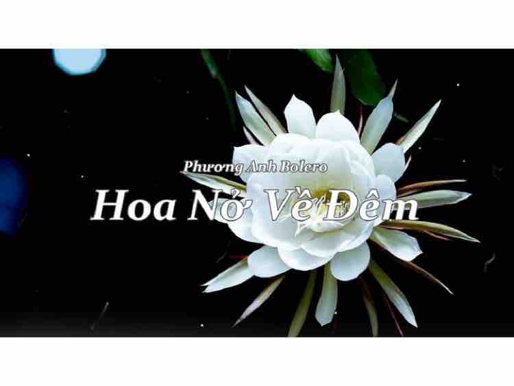 TÁM ĐIỆP KHÚC - KARAOKE SONG CA | PHƯỚC TÍNH
