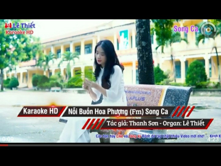 Nỗi Buồn Hoa Phượng (Song Ca)