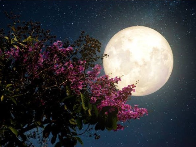 ĐÊM RU ĐIỆU NHỚ