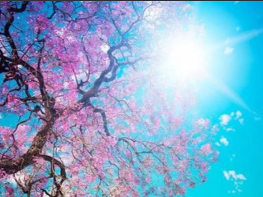 NẮNG CÓ CÒN XUÂN